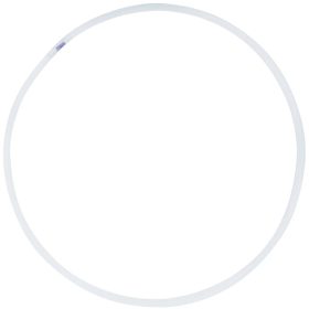 Rodeo Hoop