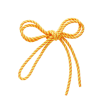 Sasaki Junior Spiral Rope MJ-243 2.5m - Image 3